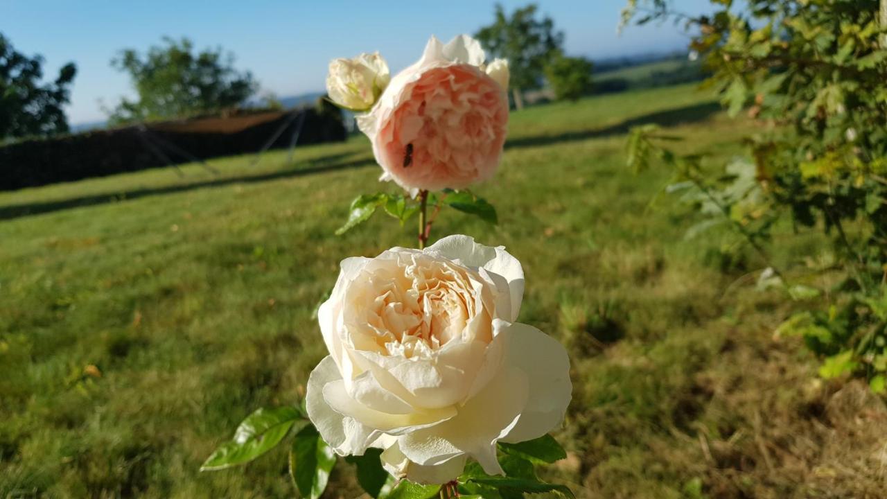 Belle Visnonia Meuble De Caractere Sud Morbihan Béganne Exterior foto